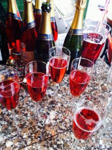 to have and to hold book launch 9